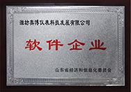 軟件企業(yè)